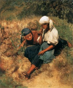 太陽に照らされたフィールドで 作： Gyula Agghazy
